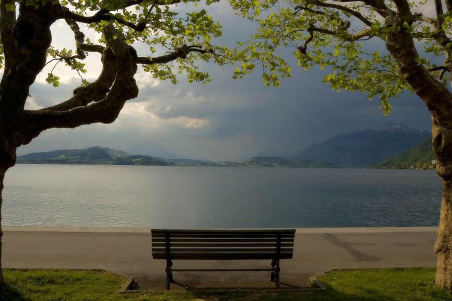 A bench overlooks the water.
