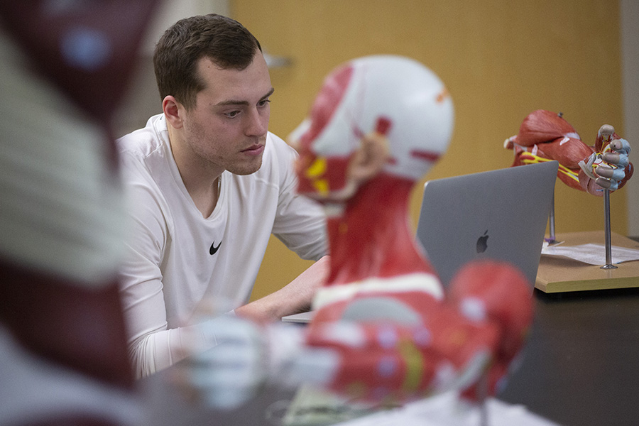 A student works on a laptop during an anatomy class.