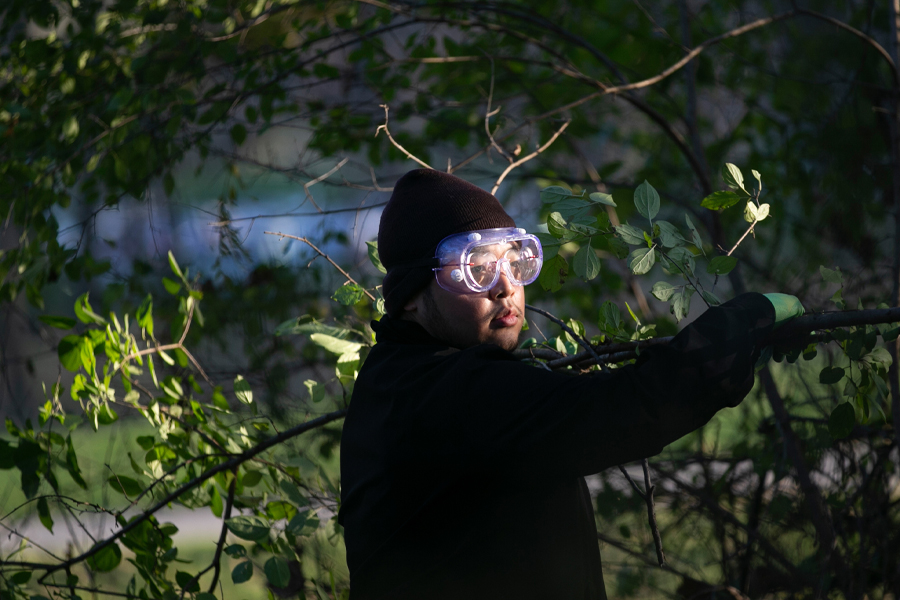 A person wears goggles while removing buckthorn in a wooded area.