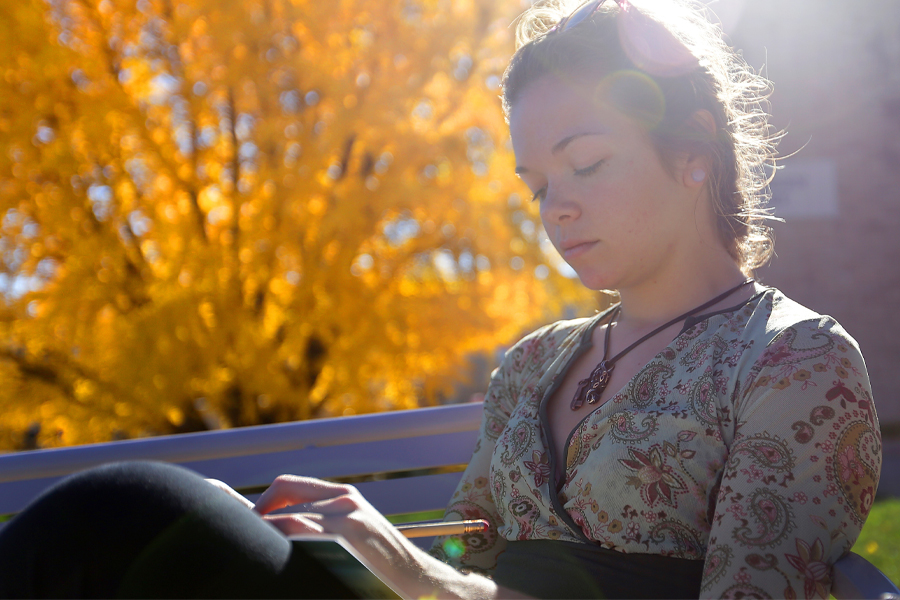 A person sits on a bench and writes with the sun shining and a large yellow tree in the background.