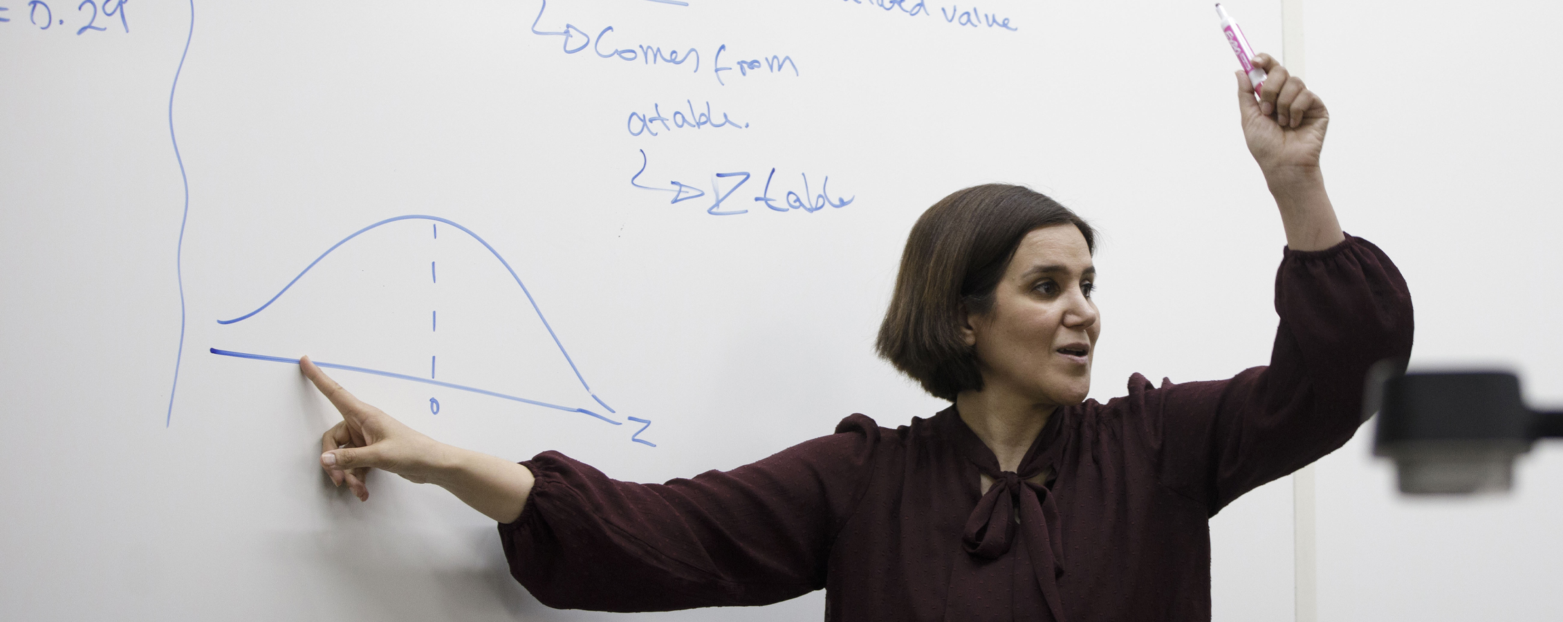 A faculty member points at a white board with a logarithm graph.