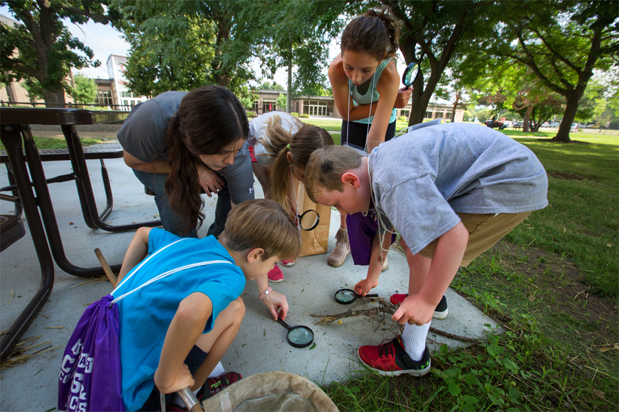 Children gather around ants on a sidewalk and look at them through a magnifying glass.