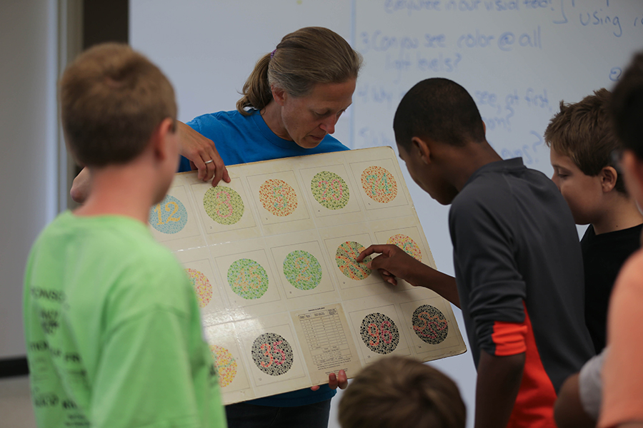 Students look at a board with cell diagrams.