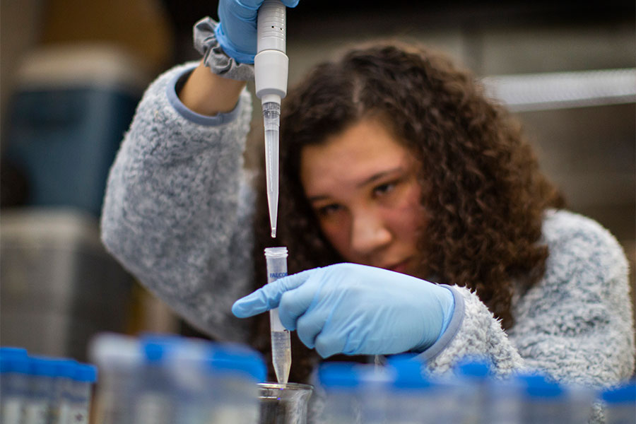 A student works in a lab on the UW-Whitewater campus.