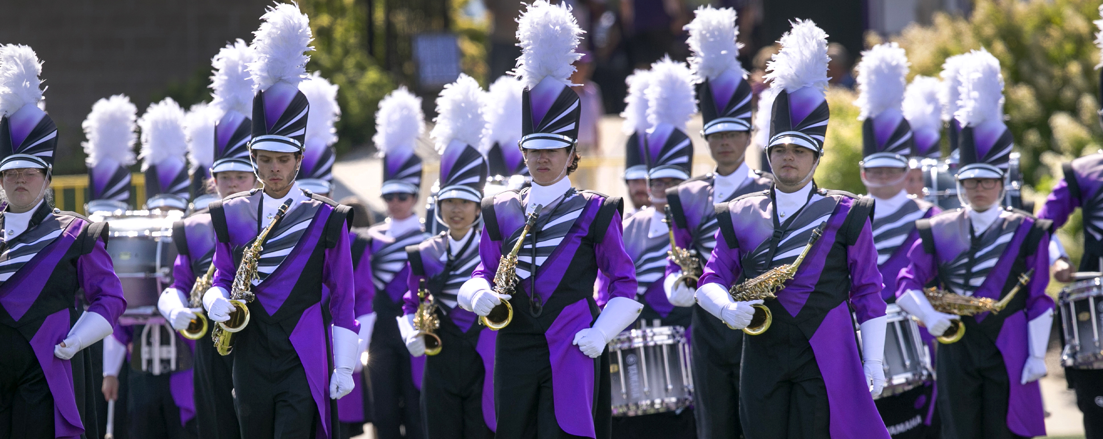 The Purple Marching Machine