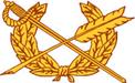 Judge Advocate General's Corps