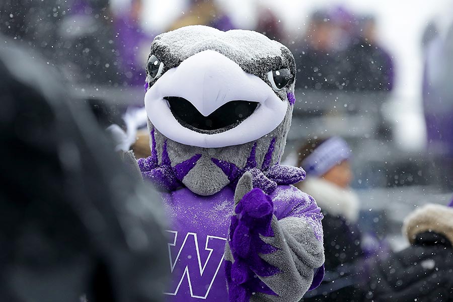 Willie Warhawk at a UW-Whitewater athletic event