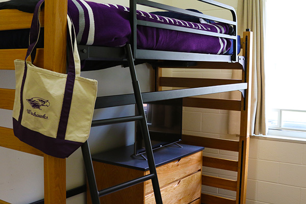 A bed raised above the ground. There is a ladder leading up to the bed, and a dresser underneath the bed.