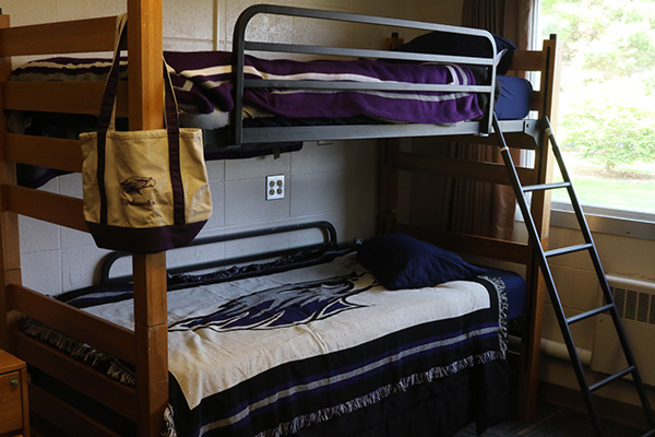 A bunk bed. There is a ladder leading to the top bunk.