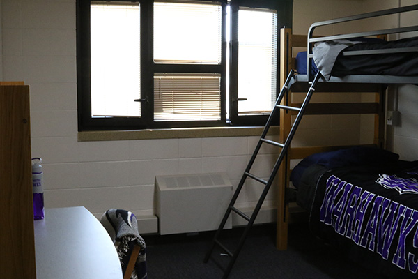 A bunk bed on one side of the room, with a ladder to access the top bunk. On the other side of the room, there is a desk.
