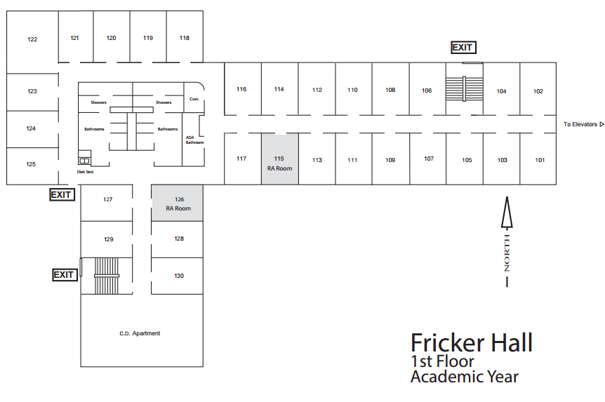 Fricker First Floor
