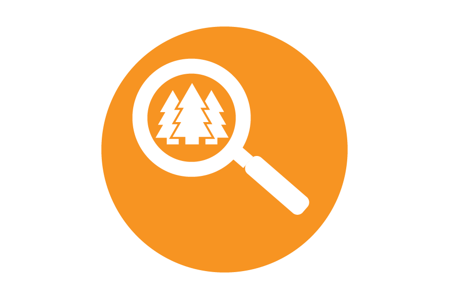 Icon of a magnifying glass with trees on an orange background.