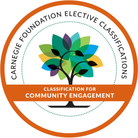 Community Engagement Classification Icon