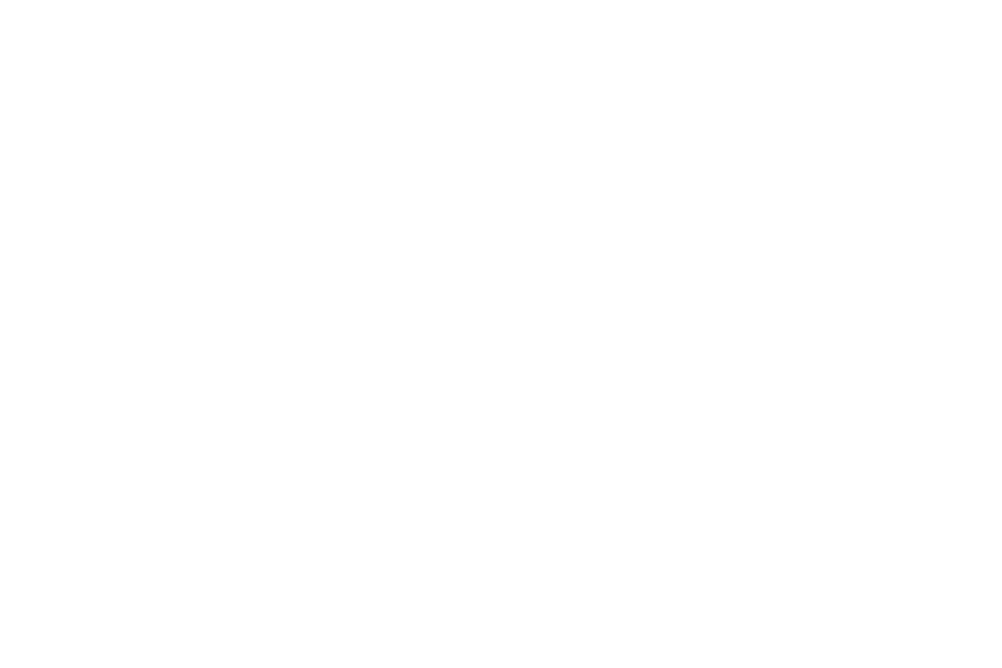 Icon of a magnifying glass looking at a briefcase.