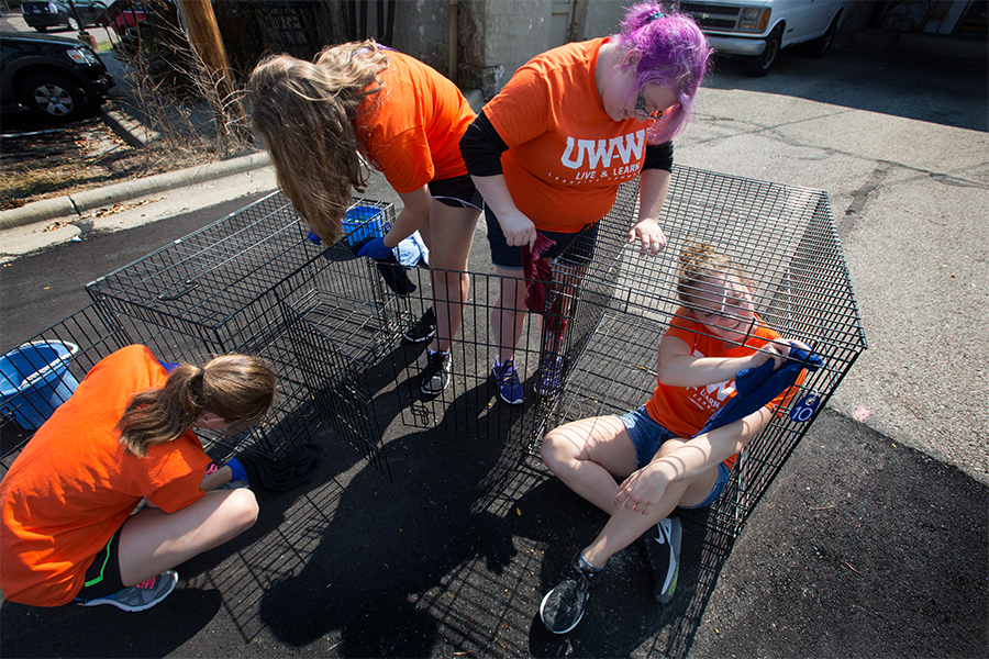 Students volunteering