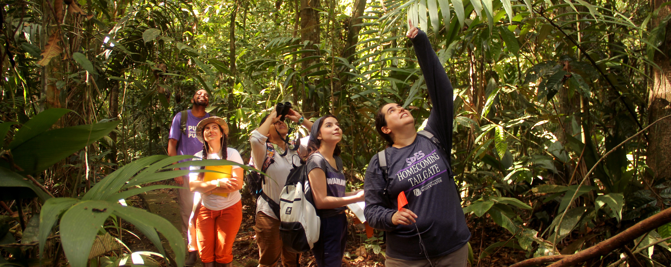 Students and a faculty member walk through the jungle in Costa Rica.