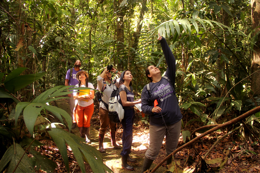 Students and a faculty member walk through the jungle in Costa Rica.