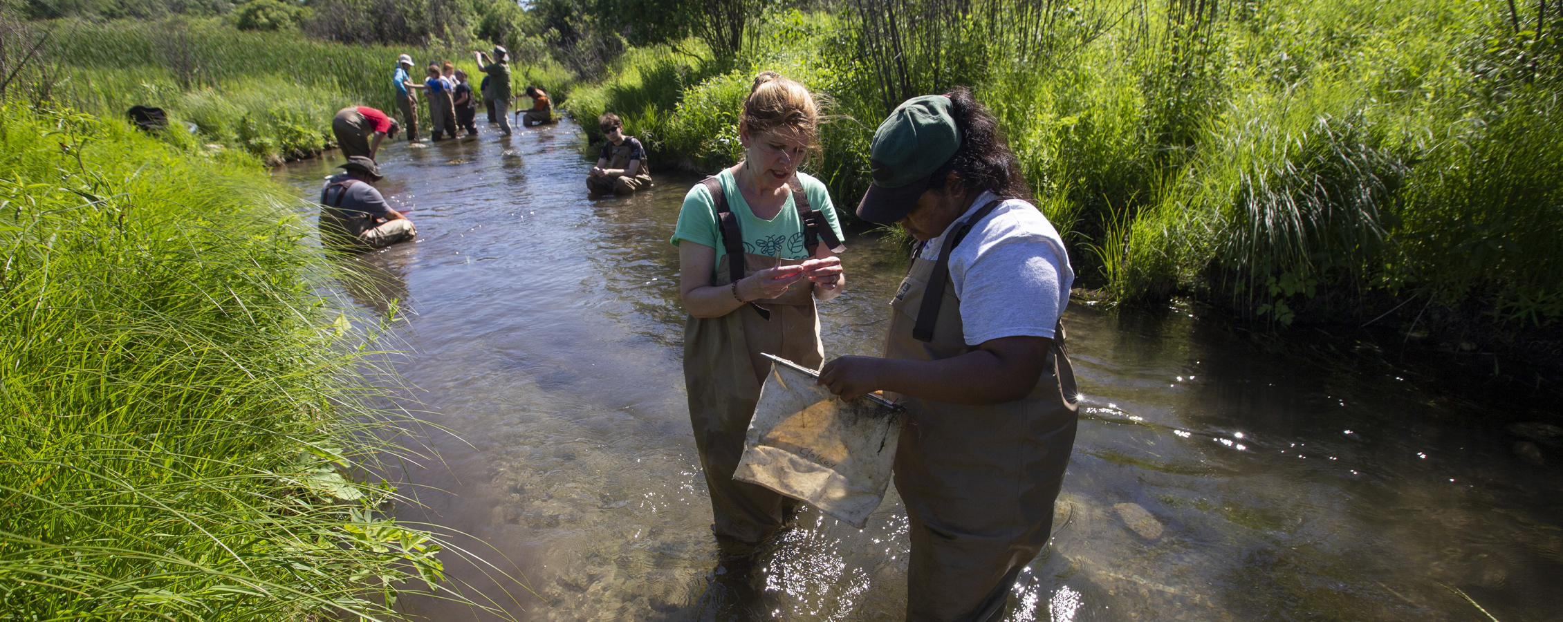 A faculty member and students work in a river.
