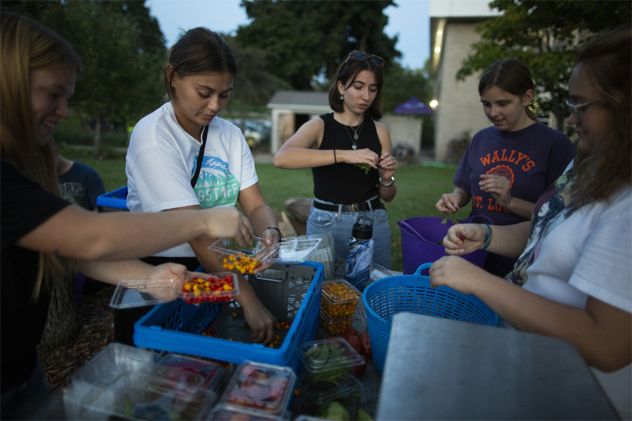Students sort vegetables into smaller baskets.