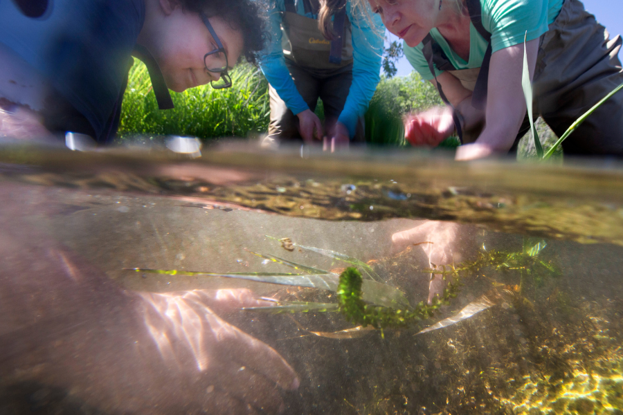 Women is starting at screen in a lab.