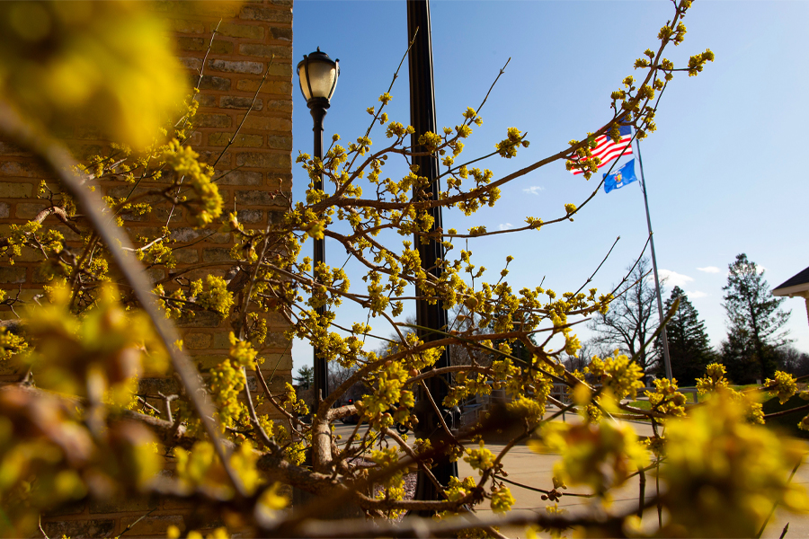 An outdoor photo shows yellow flowers, a lamppost and the American flag waving against a blue sky.