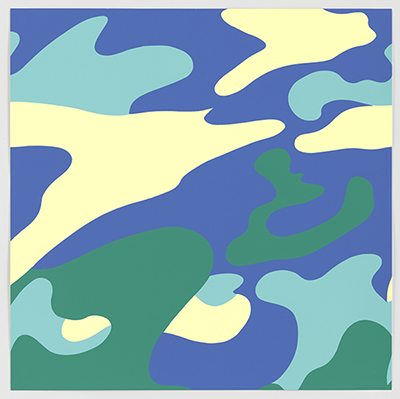 Warhol Camouflage